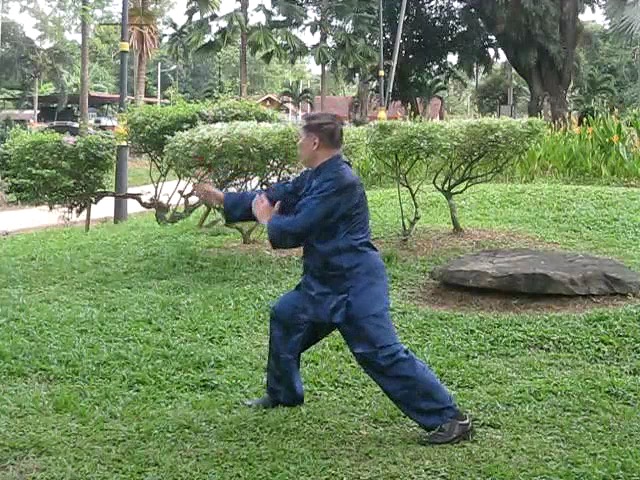 Wu Yu Xiang Style Taijiquan